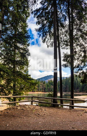 Pier auf dem See in den Bergen in der Nähe von Nadelwald Stockfoto