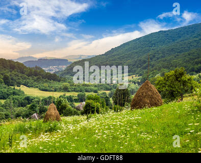Heuhaufen auf der grünen Wiese der Landwirtschaft in den Bergen im Morgenlicht Stockfoto