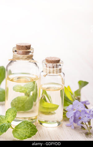 frische Minze ätherisches Öl und Blumen Stockfoto
