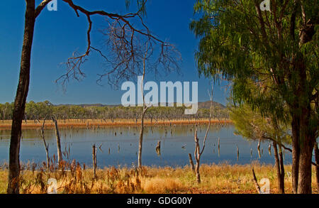 Große ruhige blaue Wasser des Lake Nuga Nuga mit robusten Carnarvon reicht am Horizont unter blauem Himmel im Outback Qld Australien Stockfoto