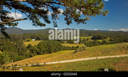 Spektakulären Panoramablick auf sanften Hügeln mit goldenen Wiesen von Bauernhöfen gesäumt von bewaldeten Hügeln der Great Dividing Range NSW Australia Stockfoto
