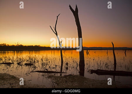 Sonnenaufgang und lebhaften orangefarbenen Himmel über weiten ruhigen Gewässern des Sees Nuga Nuga, die sich zum Horizont im Outback Queensland Australien Stockfoto