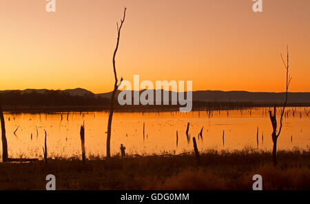 Sonnenaufgang und lebhaften orangefarbenen Himmel über weiten ruhigen Gewässern des Sees Nuga Nuga, die sich zum Horizont im Outback Queensland Australien Stockfoto