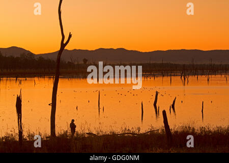 Sonnenaufgang und lebhaften orangefarbenen Himmel über weiten ruhigen Gewässern des Sees Nuga Nuga, die sich zum Horizont im Outback Queensland Australien Stockfoto