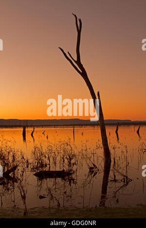 Sonnenaufgang und lebhaften orangefarbenen Himmel über weiten ruhigen Gewässern des Sees Nuga Nuga, die sich zum Horizont im Outback Queensland Australien Stockfoto