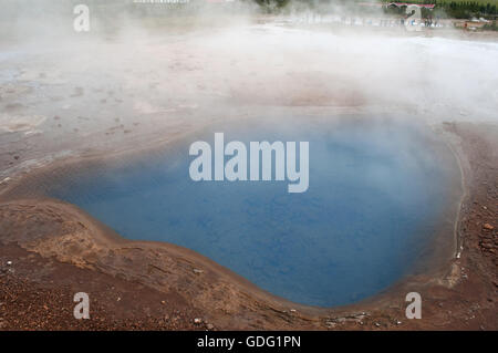 Island, Europa Nord: Ein heißer Frühling in der Geysir, Heimat der Geysire, regelmäßig heiße Quellen, die in den Südwesten der Insel Stockfoto