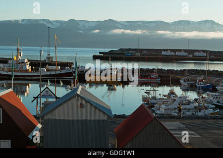 Island, Europa: die Skyline bei Sonnenuntergang und der Hafen der Fischerort Husavik, Walbeobachtung Zentrum an der Nordküste der Insel Stockfoto