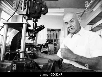 Roman Vishniac arbeitet in seinem Labor, 1961 Stockfoto