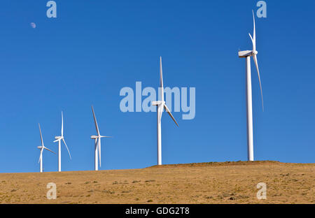 Windenergie erzeugt durch große Rotorblätter drehen auf einem Hügel in Oregon. Stockfoto