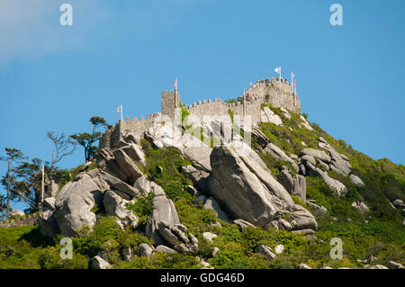 Burg der Mauren - Sintra - Portugal Stockfoto