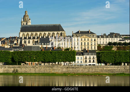 Die Kathedrale von St. Louis de Blois Stockfoto