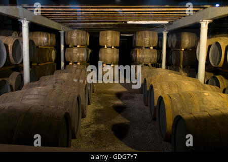 Whiskeyflaschen und Fässern in einer Destillerie in Schottland, in der Nähe von Inverness.10/07/2016 Stockfoto