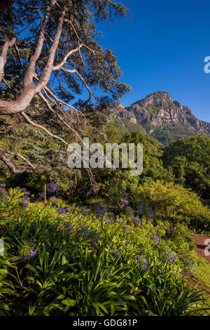 Blick von Kirstenbosch, Cape Town, Südafrika Stockfoto