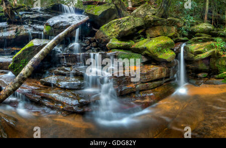 Lower Somersby Falls, New-South.Wales, Australien Stockfoto