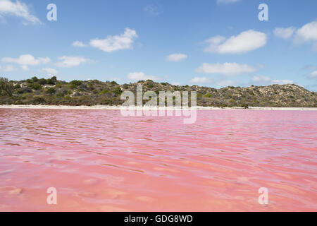 Pink Lake in der Nähe von Port Gregory in Western Australia - Australien Stockfoto