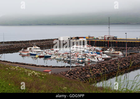 Island, Europa: Blick auf den kleinen Hafen von fáskrúdsfjördur, einem Dorf im Osten Islands und eine der östlichsten Siedlungen von Island Stockfoto