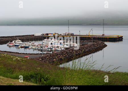 Island, Europa: Blick auf den kleinen Hafen von fáskrúdsfjördur, einem Dorf im Osten Islands und eine der östlichsten Siedlungen von Island Stockfoto