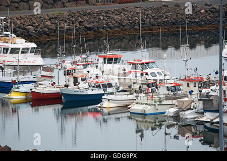 Island, Europa: Blick auf den kleinen Hafen von fáskrúdsfjördur, einem Dorf im Osten Islands und eine der östlichsten Siedlungen von Island Stockfoto