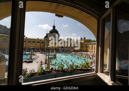 Das Szechenyi Spa und Schwimmbad im Stadtpark, Budapest, Ungarn. Das Spa und der Pool sind das größte Heilbad in Europa und ein beliebtes Thermalbad Stockfoto