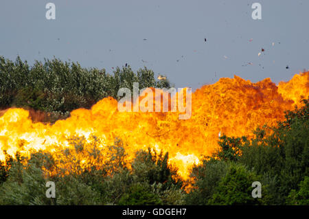 Hawker Hunter T7 WV372, G-BXFI, Shoreham Air Display, Stockfoto