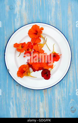 Tropaeolum Majus. Essbare Kapuzinerkresse Blüten auf einem Emaille Teller. Essbare Blumen Stockfoto