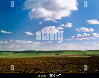 Maiden Castle Eisenzeit Burgberg, Dorset, gesehen aus N mit einem Bronzezeit runden Grabhügel im Vordergrund. Mehrere Wälle umschließen 18,5 ha. Stockfoto