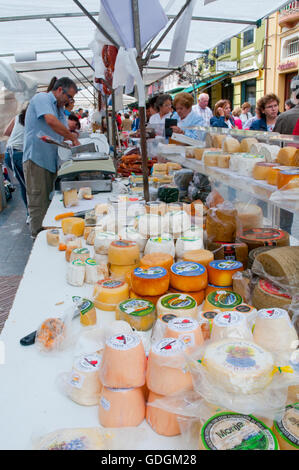 Verschiedene Käsesorten in Anbieter Stand der Flohmarkt. Ribadesella, Asturien, Spanien. Stockfoto