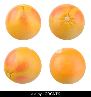 Der Satz von perfekten frische Grapefruits, Isolated on White Background in voller Tiefe des Feldes. Stockfoto