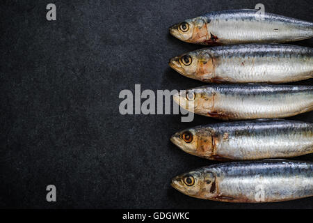 ganze Sardin Fisch auf dunklem Schiefer Stockfoto