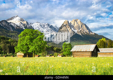 Schöne Bergfrühling ländlichen Landschaft mit blühenden Tal Wiese und morgen Sonnenlicht Bergen Stockfoto