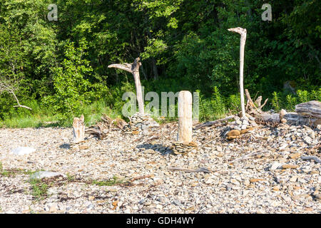 Alten geschälten Baum-Stämme auf Kopfsteinpflaster gelegt Stockfoto