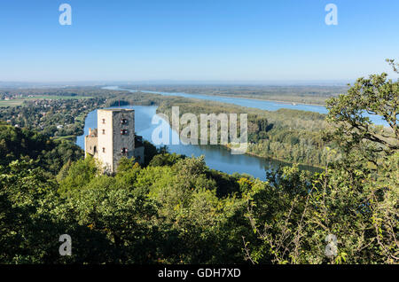 St. Andrä-Wördern: Burg Greifenstein auf einem Oxbow See der Donau und der Donau (hinten), Österreich, Niederösterreich, Lowe Stockfoto