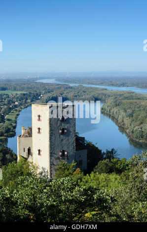 St. Andrä-Wördern: Burg Greifenstein auf einem Oxbow See der Donau und der Donau (hinten), Österreich, Niederösterreich, Lowe Stockfoto