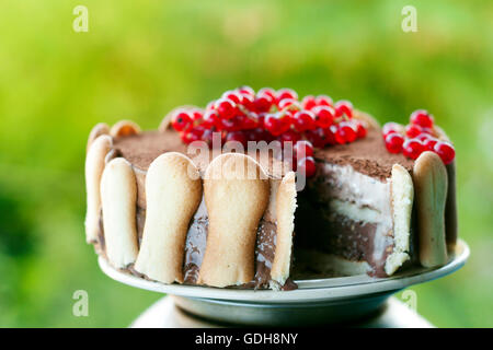 Eis-Tiramisu-Kuchen Stockfoto