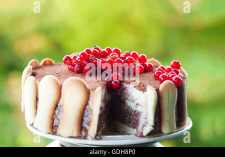 Eis-Tiramisu-Kuchen mit Preiselbeeren an der Spitze Stockfoto