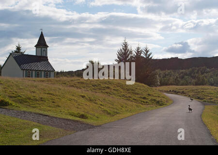 Island: Nationalpark Thingvellir, zentrale Lage in der isländischen Geschichte für das erste Parlament der Welt zusammengebaut 930 n. Chr. Stockfoto