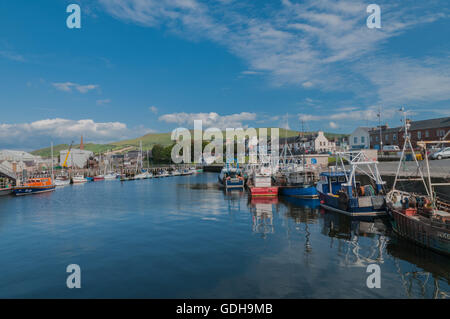 Angelboote/Fischerboote im Hafen Girvan South Ayrshire Schottland mit RNLI Tyne Klasse Rettungsboot Stockfoto