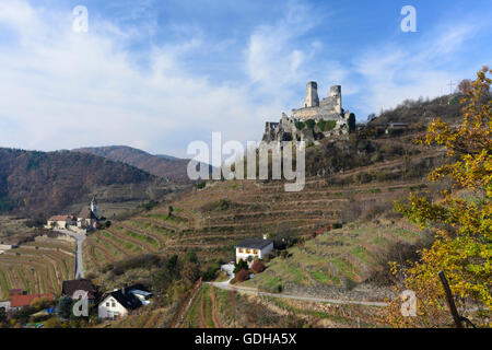 Senftenberg: Kirche und Burg Ruine Senftenberg, Weinberg, Waldviertel, Niederösterreich, Niederösterreich, Österreich Stockfoto