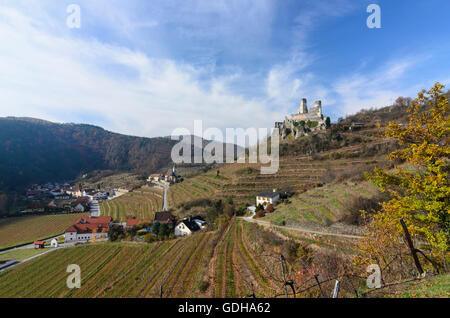 Senftenberg: Kirche und Burg Ruine Senftenberg, Weinberg, Waldviertel, Niederösterreich, Niederösterreich, Österreich Stockfoto