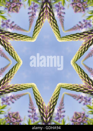 Abstrakte Kaleidoskop Muster mit lila Blüten Stockfoto