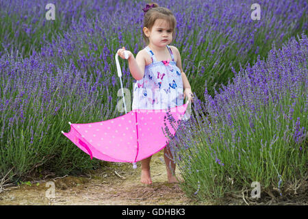 Junge Mädchen mit Schmetterlingskleid mit rosa Regenschirm genießt den Lavendel an einem Tag der offenen Tür in der Lordington Lavender Farm, West Sussex UK im Juli Stockfoto