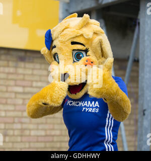 Wheatsheaf Park, Staines, UK. 17. Juli 2016. FA Womens Super League 1. Ladies Chelsea gegen Arsenal Ladies. Chelsea-Maskottchen vor dem Spiel Credit: Action Plus Sport/Alamy Live News Stockfoto