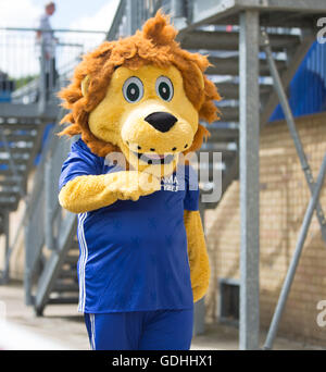 Wheatsheaf Park, Staines, UK. 17. Juli 2016. FA Womens Super League 1. Ladies Chelsea gegen Arsenal Ladies. Chelsea-Maskottchen vor dem Spiel Credit: Action Plus Sport/Alamy Live News Stockfoto