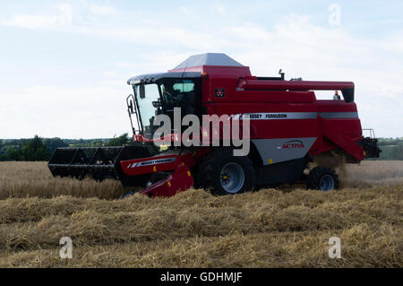 Braintree, UK. 17. Juli 2016. Große Bardfield Braintree Essex UK. Die Gerstenernte beginnt 17. Juli 2016 Credit: William Edwards/Alamy Live News Stockfoto