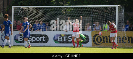 Wheatsheaf Park, Staines, UK. 17. Juli 2016. FA Womens Super League 1. Ladies Chelsea gegen Arsenal Ladies. Arsenal Ladies feiern gewann das Spiel Credit: Action Plus Sport/Alamy Live News Stockfoto