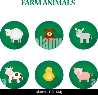 Satz von flachen isolierte Design-Ikonen mit Tieren vom Bauernhof Stock Vektor