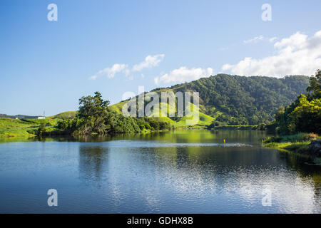 Der Daintree River in der Nähe der Stadt Daintree in weit nten Queensland, Australien Stockfoto