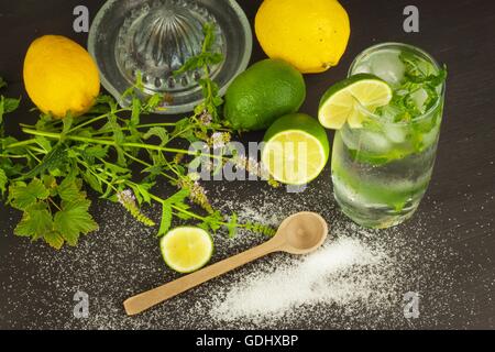 Hausgemachte Limonade mit frischer Zitrone und Minze. Cool, erfrischendes Bad in den heißen Sommermonaten. Stockfoto