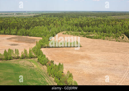 Luftaufnahmen - Wäldern und Feldern der Großraum Moskau, Russland. Aufnahmen aus dem Helikopter. Stockfoto