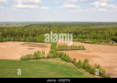 Luftaufnahmen - Wäldern und Feldern der Großraum Moskau, Russland. Aufnahmen aus dem Helikopter. Stockfoto